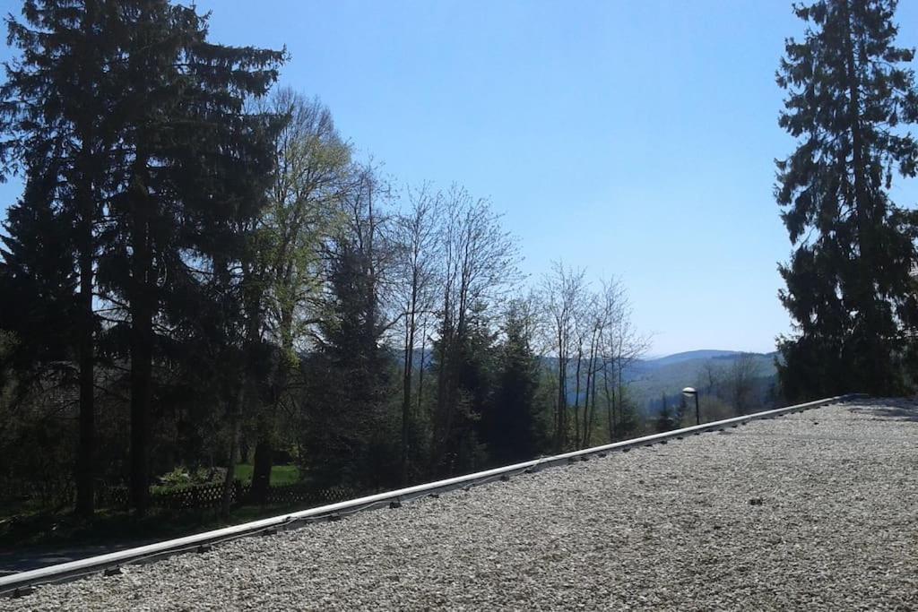 Appartement In Het Sportgebied Van Winterberg Esterno foto
